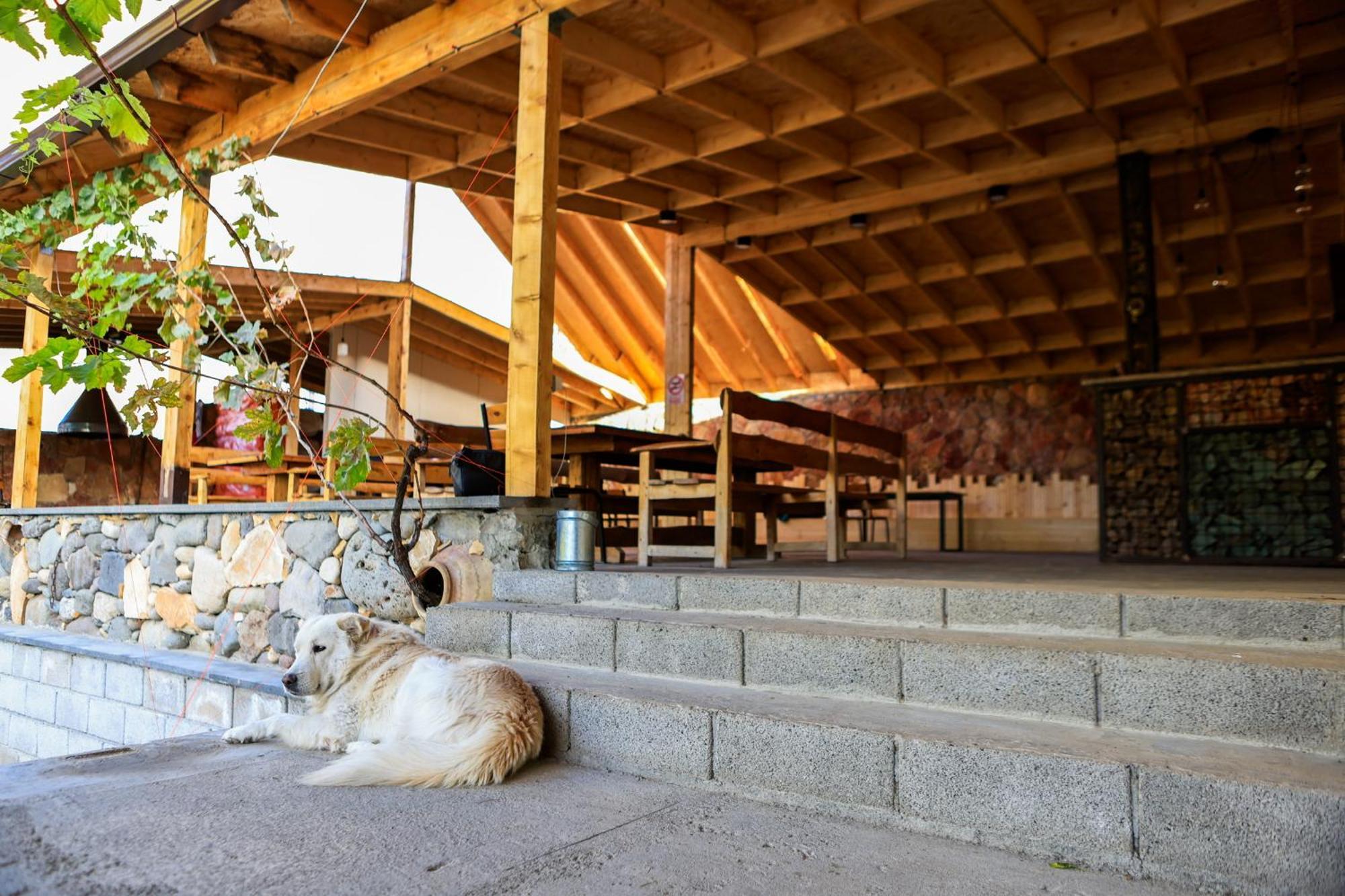 Areni Wine Art Bed & Breakfast Dış mekan fotoğraf