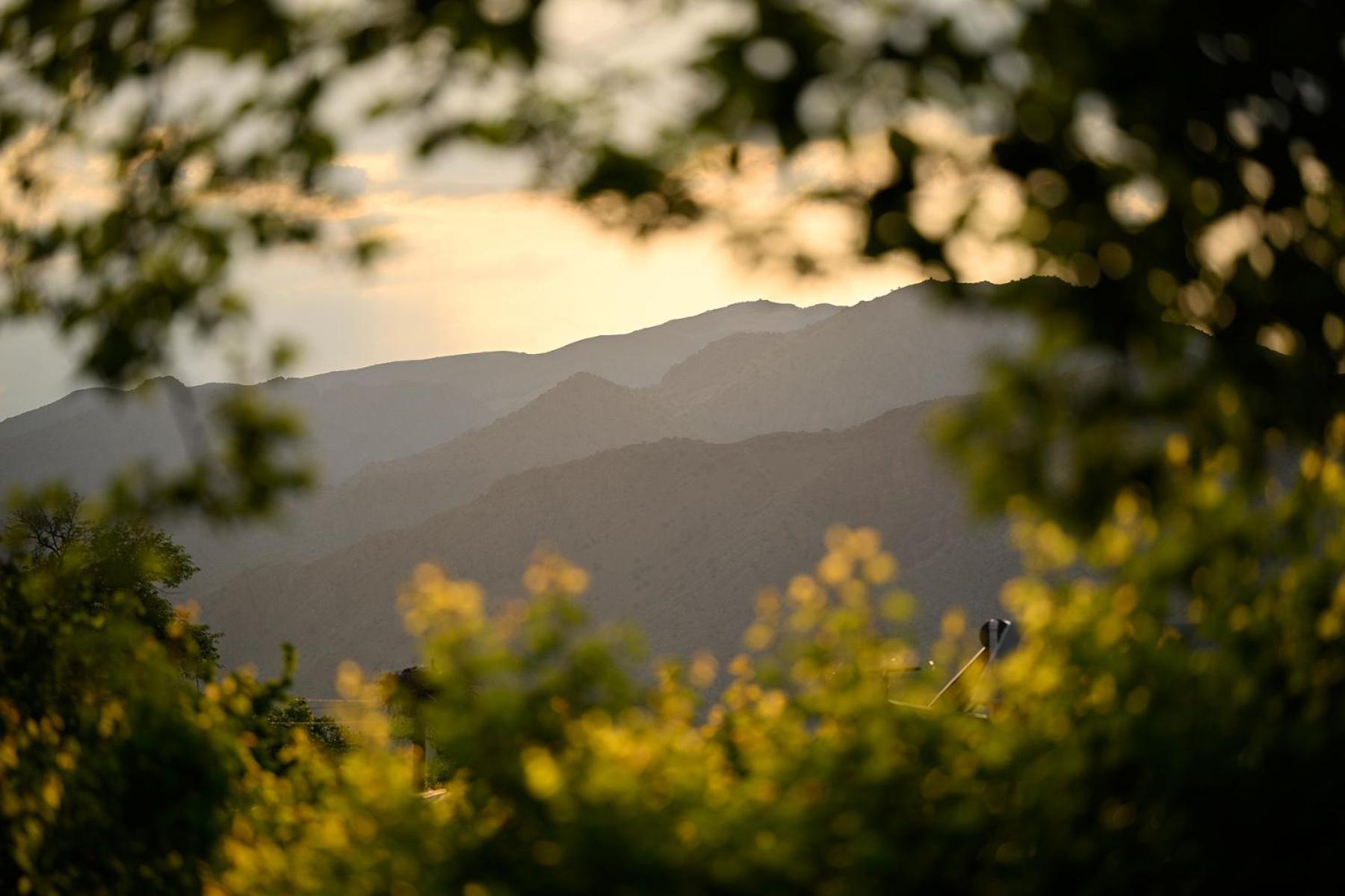Areni Wine Art Bed & Breakfast Dış mekan fotoğraf